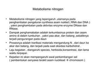 Metabolisme nitrogen
• Metabolisme nitrogen yang tepengaruh ,utamanya pada
penghambatan pengaturan synthesa asam nukled ( RNA dan DNA )
, yakni penghambatan pada aktivitas enzyme enzyme DNase dan
RNase.
• Dampak penghamabatan adalah terkumlasinya protein dan asam
amino di dalam tumbuhan , yakni paa akar, dan batang ,sebaliknya
terjadi pengurangan pada daun
• Prosesnya adalah tranlkasi materials mengandung N , dari daun ke
akar dan batang, dan terjadi pada saat oksidasi karbohidrat .
• Laju kegiatan , diangaruhi species, herbisida,konsentrasi, dan lama
waktu terpapar.
• Kejadian ini akan mempengaruhi awal perkembangan sel
( pembentukan senyawa terakit asam nucklead  chromosom )
 
