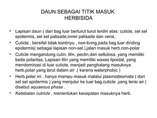 DAUN SEBAGAI TITIK MASUK
HERBISIDA
• Lapisan daun ( dari bag luar berturut turut terdiri atas: cuticle, sel sel
epidermis, sel sel palisade,inner palisade dan vena.
• Cuticle , bersifat tidak kontinyu , non-living,pada bag.luar dinding
epidermis( sebagai lapisan non-sel.),jalan masuk herb.non-polar
• Cuticle mengandung cutin, lilin, pectin,dan sellulosa, yang memiliki
beda polaritas. Lapisan lilin yang memiliki waxes lipoidal, yang
mendominasi di luar cuticle, menjadi penghalang masuknya
herb.polar yang larut dalam air .( karena waterphobic )
• Herb.polar ini , hanya mampu masuk malalui plasmodesmata ( dari
sel sel apidermis ) yang menjulur ke luar bag.cuticle ,yang terisi air (
disebut aquaeous phase .
• Ketebalan cutricle , menentukan kecepatan masuknya herb.
 