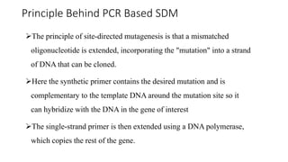 Site directed mutagenesis by pcr | PPTX