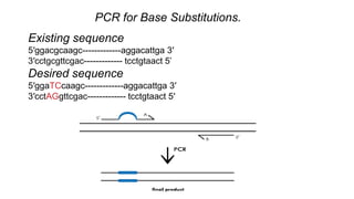 Site directed mutagenesis by pcr | PPTX