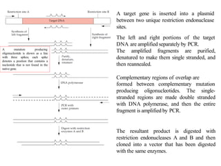 Site Directed Mutagenesis (SDM).pptx