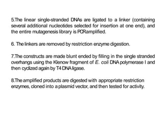 Site Directed Mutagenesis (SDM).pptx