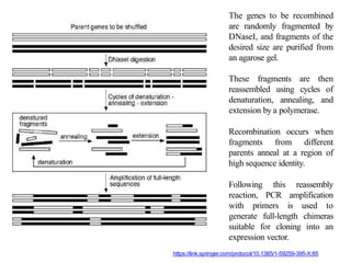Fragmented Genes Site Directed Mutagenesis (SDM).pptx
