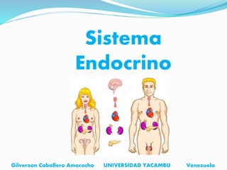 Sistema
Endocrino
Gilverzon Caballero Amorocho UNIVERSIDAD YACAMBU Venezuela
 