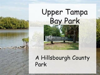 Upper Tampa
Bay Park

A Hillsbourgh County
Park

 