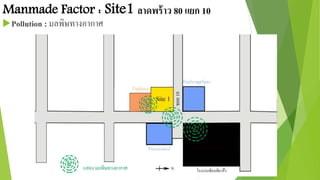 Manmade Factor : Site1 ลาดพร้าว 80 แยก 10 
Pollution : มลพิษทางอากาศ 
 