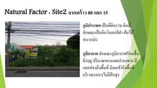 Natural Factor : Site2 ลาดพร้าว 80 แยก 15 
ภูมิประเทศ เป็นที่ดินราบ ดินมี 
ลักษณะเป็นดินโคลนสีดา ต้นไม้ 
หนาแน่น 
ภูมิอากาศ ลักษณะภูมิอากาศร้อนชื้น 
มี3ฤดู ปริมาณของแดดปานกลาง มี 
แดดส่องถึงพื้นที่ มีลมเข้าถึงพื้นที่ 
บริเวณรอบๆไม่มีตึกสูง 
 