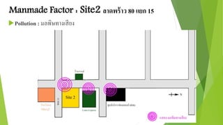 Manmade Factor : Site2 ลาดพร้าว 80 แยก 15 
Pollution : มลพิษทางเสียง 
 