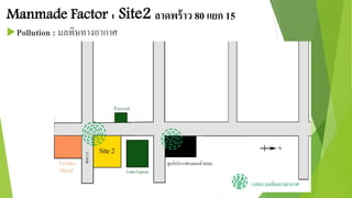 Manmade Factor : Site2 ลาดพร้าว 80 แยก 15 
Pollution : มลพิษทางอากาศ 
 