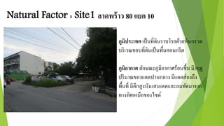 Natural Factor : Site1 ลาดพร้าว 80 แยก 10 
ภูมิประเทศ เป็นที่ดินราบโรยด้วยหินกรวด 
บริเวณขอบที่ดินเป็นพื้นคอนกรีต 
ภูมิอากาศ ลักษณะภูมิอากาศร้อนชื้น มี3ฤดู 
ปริมาณของแดดปานกลาง มีแดดส่องถึง 
พื้นที่ มีตึกสูงบังแสงแดดและลมพัดมาจาก 
ทางทิศเหนือของไซต์ 
 
