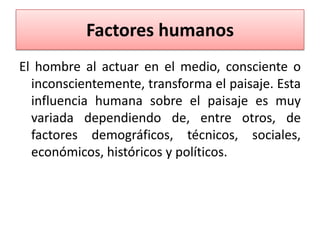Factores humanos
El hombre al actuar en el medio, consciente o
inconscientemente, transforma el paisaje. Esta
influencia humana sobre el paisaje es muy
variada dependiendo de, entre otros, de
factores demográficos, técnicos, sociales,
económicos, históricos y políticos.

 