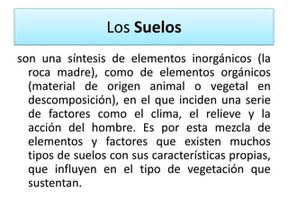 Los Suelos
son una síntesis de elementos inorgánicos (la
roca madre), como de elementos orgánicos
(material de origen animal o vegetal en
descomposición), en el que inciden una serie
de factores como el clima, el relieve y la
acción del hombre. Es por esta mezcla de
elementos y factores que existen muchos
tipos de suelos con sus características propias,
que influyen en el tipo de vegetación que
sustentan.

 