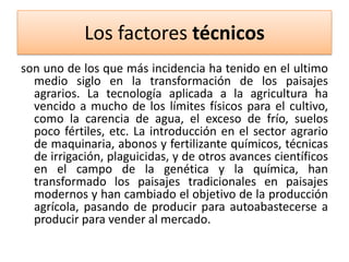 Los factores técnicos
son uno de los que más incidencia ha tenido en el ultimo
medio siglo en la transformación de los paisajes
agrarios. La tecnología aplicada a la agricultura ha
vencido a mucho de los límites físicos para el cultivo,
como la carencia de agua, el exceso de frío, suelos
poco fértiles, etc. La introducción en el sector agrario
de maquinaria, abonos y fertilizante químicos, técnicas
de irrigación, plaguicidas, y de otros avances científicos
en el campo de la genética y la química, han
transformado los paisajes tradicionales en paisajes
modernos y han cambiado el objetivo de la producción
agrícola, pasando de producir para autoabastecerse a
producir para vender al mercado.

 