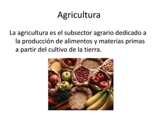 Agricultura
La agricultura es el subsector agrario dedicado a
la producción de alimentos y materias primas
a partir del cultivo de la tierra.

 