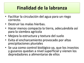 Finalidad de la labranza
• Facilitar la circulación del agua para un riego
correcto.
• Destruir las malas hierbas.
• Hacer menos compacta la tierra, adecuándola así
para la siembra agrícola
• Mejora la estructura y textura del suelo
• Evita el encharcamiento provocado por altas
precipitaciones pluviales
• Se usa como control biológico ya, que los insectos
y gusanos quedan a nivel superficial y vienen los
depredadores a alimentarse de ellos

 