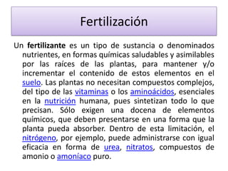 Fertilización
Un fertilizante es un tipo de sustancia o denominados
nutrientes, en formas químicas saludables y asimilables
por las raíces de las plantas, para mantener y/o
incrementar el contenido de estos elementos en el
suelo. Las plantas no necesitan compuestos complejos,
del tipo de las vitaminas o los aminoácidos, esenciales
en la nutrición humana, pues sintetizan todo lo que
precisan. Sólo exigen una docena de elementos
químicos, que deben presentarse en una forma que la
planta pueda absorber. Dentro de esta limitación, el
nitrógeno, por ejemplo, puede administrarse con igual
eficacia en forma de urea, nitratos, compuestos de
amonio o amoníaco puro.

 