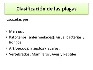 Clasificación de las plagas
causadas por:
• Malezas.
• Patógenos (enfermedades): virus, bacterias y
hongos.
• Artrópodos: Insectos y ácaros.
• Vertebrados: Mamíferos, Aves y Reptiles

 