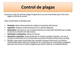 Control de plagas
Cuando se trata de eliminar plagas la agricultura usa los insecticidas pero esto varia
según su forma de actuar.
Estos insecticidas se clasifican por:
•
•
•
•
•
•

Contacto: Actúa obstruyendo los estigmas traqueales del insecto.
Ingestión: Produce envenenamiento en el sistema digestivo.
Sistemático: Consiste en que la planta absorba el insecticida haciendo que cuando
el animal se alimente de este muera.
Inhalación o asfixiantes: Asfixia al insecto.
Atracción y repulsión: Actúa atrayendo al insecto a probar la planta, una vez el
insecto se encuentra en la misma esta causa que el insecto sienta asco y se aleje.
Debido a que estos insecticidas han causado una gran alarma por sus efectos
medioambientales estos han tratado de ser sustituidos por insecticidas ecológicos
para que sea menor el efecto negativo que tienen estos en el medioambiente.

 
