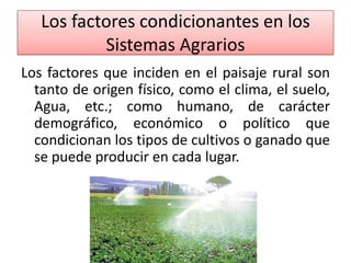 Los factores condicionantes en los
Sistemas Agrarios
Los factores que inciden en el paisaje rural son
tanto de origen físico, como el clima, el suelo,
Agua, etc.; como humano, de carácter
demográfico, económico o político que
condicionan los tipos de cultivos o ganado que
se puede producir en cada lugar.

 