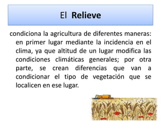 El Relieve
condiciona la agricultura de diferentes maneras:
en primer lugar mediante la incidencia en el
clima, ya que altitud de un lugar modifica las
condiciones climáticas generales; por otra
parte, se crean diferencias que van a
condicionar el tipo de vegetación que se
localicen en ese lugar.

 