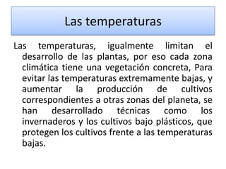 Las temperaturas
Las temperaturas, igualmente limitan el
desarrollo de las plantas, por eso cada zona
climática tiene una vegetación concreta, Para
evitar las temperaturas extremamente bajas, y
aumentar la producción de cultivos
correspondientes a otras zonas del planeta, se
han desarrollado técnicas como los
invernaderos y los cultivos bajo plásticos, que
protegen los cultivos frente a las temperaturas
bajas.

 