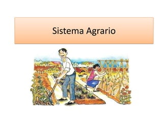 Sistema Agrario

 
