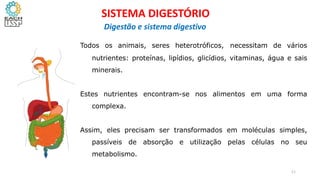 Todos os animais, seres heterotróficos, necessitam de vários
nutrientes: proteínas, lipídios, glicídios, vitaminas, água e sais
minerais.
Estes nutrientes encontram-se nos alimentos em uma forma
complexa.
Assim, eles precisam ser transformados em moléculas simples,
passíveis de absorção e utilização pelas células no seu
metabolismo.
11
SISTEMA DIGESTÓRIO
Digestão e sistema digestivo
 