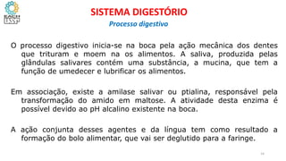 O processo digestivo inicia-se na boca pela ação mecânica dos dentes
que trituram e moem na os alimentos. A saliva, produzida pelas
glândulas salivares contém uma substância, a mucina, que tem a
função de umedecer e lubrificar os alimentos.
Em associação, existe a amilase salivar ou ptialina, responsável pela
transformação do amido em maltose. A atividade desta enzima é
possível devido ao pH alcalino existente na boca.
A ação conjunta desses agentes e da língua tem como resultado a
formação do bolo alimentar, que vai ser deglutido para a faringe.
14
SISTEMA DIGESTÓRIO
Processo digestivo
 