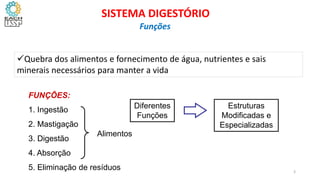 FUNÇÕES:
1. Ingestão
2. Mastigação
3. Digestão
4. Absorção
5. Eliminação de resíduos
Alimentos
Diferentes
Funções
Estruturas
Modificadas e
Especializadas
3
Quebra dos alimentos e fornecimento de água, nutrientes e sais
minerais necessários para manter a vida
SISTEMA DIGESTÓRIO
Funções
 
