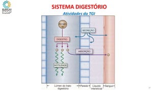 37
SISTEMA DIGESTÓRIO
Atividades do TGI
 