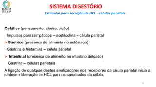 Cefálico (pensamento, cheiro, visão)
Impulsos parassimpáticos – acetilcolina – célula parietal
Gástrico (presença de alimento no estômago)
Gastrina e histamina – célula parietal
 Intestinal (presença de alimento no intestino delgado)
Gastrina – células parietais
A ligação de qualquer destes sinalizadores nos receptores da célula parietal inicia a
síntese e liberação de HCL para os canalículos da célula.
43
SISTEMA DIGESTÓRIO
Estímulos para secreção de HCL - células parietais
 