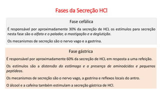 Fases da Secreção HCl
Fase cefálica
É responsável por aproximadamente 30% da secreção de HCL os estímulos para secreção
nesta fase são o olfato e o paladar, a mastigação e a deglutição.
Os mecanismos de secreção são o nervo vago e a gastrina.
51
Fase gástrica
É responsável por aproximadamente 60% da secreção de HCL em resposta a uma refeição.
Os estímulos são a distensão do estômago e a presença de aminoácidos e pequenos
peptídeos.
Os mecanismos de secreção são o nervo vago, a gastrina e reflexos locais do antro.
O álcool e a cafeína também estimulam a secreção gástrica de HCl.
 