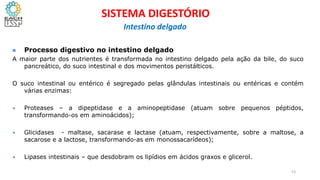  Processo digestivo no intestino delgado
A maior parte dos nutrientes é transformada no intestino delgado pela ação da bile, do suco
pancreático, do suco intestinal e dos movimentos peristálticos.
O suco intestinal ou entérico é segregado pelas glândulas intestinais ou entéricas e contém
várias enzimas:
• Proteases – a dipeptidase e a aminopeptidase (atuam sobre pequenos péptidos,
transformando-os em aminoácidos);
• Glicidases - maltase, sacarase e lactase (atuam, respectivamente, sobre a maltose, a
sacarose e a lactose, transformando-as em monossacarídeos);
• Lipases intestinais – que desdobram os lipídios em ácidos graxos e glicerol.
53
SISTEMA DIGESTÓRIO
Intestino delgado
 