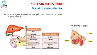 O sistema digestivo é constituído pelo tubo digestivo e pelos
órgãos anexos.
Anatomia - boca
12
SISTEMA DIGESTÓRIO
Digestão e sistema digestivo
 