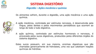 Os alimentos sofrem, durante a digestão, uma ação mecânica e uma ação
química.
A ação mecânica, controlada por estímulos nervosos, é desenvolvida pela
língua, pelos dentes e pelos movimentos peristálticos que ocorrem ao
longo de todo o tubo digestivo.
A ação química, controlada por estímulos hormonais e nervosos, é
provocada pelos sucos digestivos, produzidos pelos diferentes órgãos do
sistema digestivo.
Estes sucos possuem, em sua maioria, enzimas digestivas que são
chamadas genericamente de hidrolases, uma vez que catalisam reações
químicas de hidrólise.
13
SISTEMA DIGESTÓRIO
Digestão – Ações mecânica e química
 