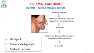 Alimento na boca
Contração reflexa dos músculos
digástrico e pterigóide lateral
Estiramento dos músculos masseter,
pterigóide medial e temporal
Boca fecha
Boca abre
 Mastigação
 Fase oral da deglutição
 Produção de saliva 17
SISTEMA DIGESTÓRIO
Digestão – Ações mecânica e química
 