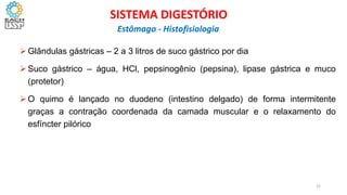  Glândulas gástricas – 2 a 3 litros de suco gástrico por dia
 Suco gástrico – água, HCl, pepsinogênio (pepsina), lipase gástrica e muco
(protetor)
 O quimo é lançado no duodeno (intestino delgado) de forma intermitente
graças a contração coordenada da camada muscular e o relaxamento do
esfíncter pilórico
22
SISTEMA DIGESTÓRIO
Estômago - Histofisiologia
 