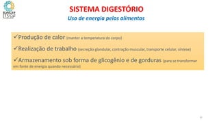 Produção de calor (manter a temperatura do corpo)
Realização de trabalho (secreção glandular, contração muscular, transporte celular, síntese)
Armazenamento sob forma de glicogênio e de gorduras (para se transformar
em fonte de energia quando necessário)
32
SISTEMA DIGESTÓRIO
Uso de energia pelos alimentos
 