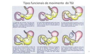 Tipos funcionais de movimento do TGI
34
 
