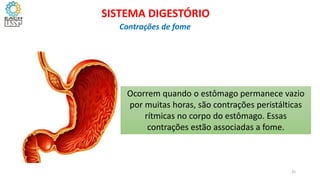 Ocorrem quando o estômago permanece vazio
por muitas horas, são contrações peristálticas
rítmicas no corpo do estômago. Essas
contrações estão associadas a fome.
35
SISTEMA DIGESTÓRIO
Contrações de fome
 