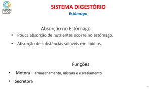 Absorção no Estômago SS
• Pouca absorção de nutrientes ocorre no estômago.
• Absorção de substâncias solúveis em lipídios.
36
Funções
• Motora – armazenamento, mistura e esvaziamento
• Secretora
SISTEMA DIGESTÓRIO
Estômago
 
