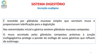 É revestido por glândulas mucosas simples que secretam muco e
proporcionam lubrificação para a deglutição
Nas extremidades inicial e gástrica existem glândulas mucosas compostas.
O muco secretado pelas glândulas compostas próximas à junção
esofagogástrica protege a parede do esôfago de sucos gástricos que refluem
do estômago.
47
SISTEMA DIGESTÓRIO
Secreção esofágica
 