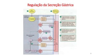 Regulação da Secreção Gástrica
48
 
