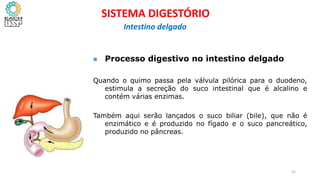  Processo digestivo no intestino delgado
Quando o quimo passa pela válvula pilórica para o duodeno,
estimula a secreção do suco intestinal que é alcalino e
contém várias enzimas.
Também aqui serão lançados o suco biliar (bile), que não é
enzimático e é produzido no fígado e o suco pancreático,
produzido no pâncreas.
52
SISTEMA DIGESTÓRIO
Intestino delgado
 