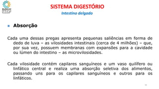  Absorção
Cada uma dessas pregas apresenta pequenas saliências em forma de
dedo de luva – as vilosidades intestinais (cerca de 4 milhões) – que,
por sua vez, possuem membranas com expansões para a cavidade
ou lúmen do intestino – as microvilosidades.
Cada vilosidade contém capilares sanguíneos e um vaso quilífero ou
linfático central e realiza uma absorção seletiva dos alimentos,
passando uns para os capilares sanguíneos e outros para os
linfáticos.
56
SISTEMA DIGESTÓRIO
Intestino delgado
 
