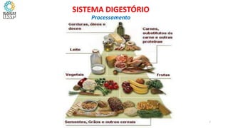 7
SISTEMA DIGESTÓRIO
Processamento
 