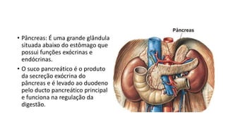 • Pâncreas: É uma grande glândula
situada abaixo do estômago que
possui funções exócrinas e
endócrinas.
• O suco pancreático é o produto
da secreção exócrina do
pâncreas e é levado ao duodeno
pelo ducto pancreático principal
e funciona na regulação da
digestão.
 