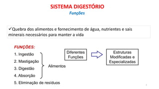 FUNÇÕES:
1. Ingestão
2. Mastigação
3. Digestão
4. Absorção
5. Eliminação de resíduos
Alimentos
Diferentes
Funções
Estruturas
Modificadas e
Especializadas
2
Quebra dos alimentos e fornecimento de água, nutrientes e sais
minerais necessários para manter a vida
SISTEMA DIGESTÓRIO
Funções
 