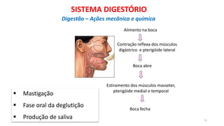 Alimento na boca
Contração reflexa dos músculos
digástrico e pterigóide lateral
Estiramento dos músculos masseter,
pterigóide medial e temporal
Boca fecha
Boca abre
 Mastigação
 Fase oral da deglutição
 Produção de saliva 25
SISTEMA DIGESTÓRIO
Digestão – Ações mecânica e química
 