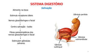 Glândula parótida
Glândula
submandibular
Glândula
sublingual
Alimento na boca
Estimula receptores táteis
Nervos glossofaríngeo e facial
Centro salivação - bulbo
Fibras parassimpáticas dos
nervos glossofaríngeo e facial
Estimulam glândulas
salivares
27
SISTEMA DIGESTÓRIO
Salivação
 